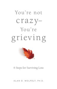 You're Not Crazy — You're Grieving book cover